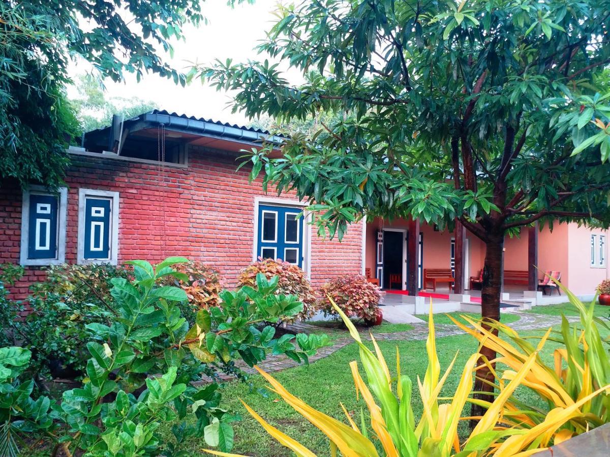 Honey Tree Polonnaruwa